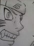 naruto furioso