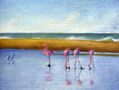 Flamencos en la albufera de Reta