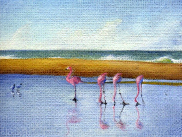 Flamencos en la albufera de Reta