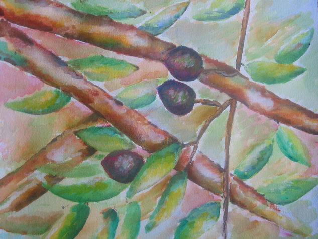 ACEITUNAS Watercolour Paper