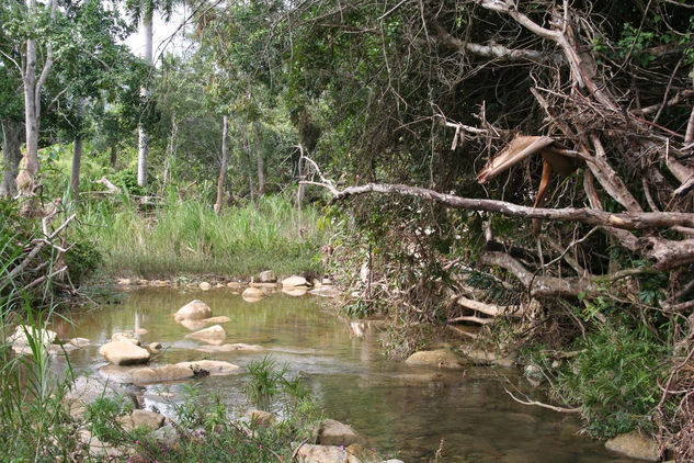 Rio de Guajaibón 