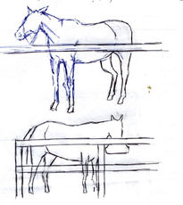 Sketch Caballos