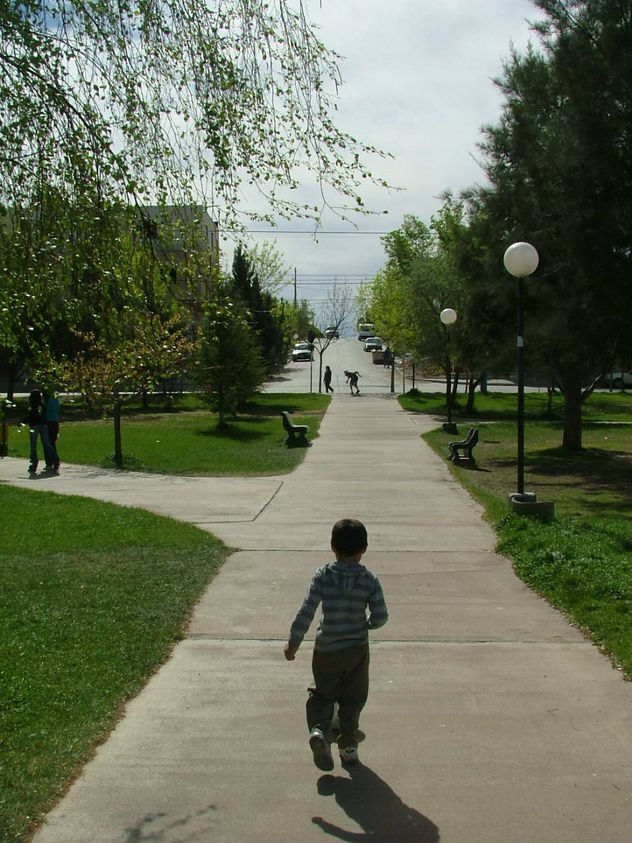 un camino