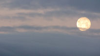 Luna Encantada