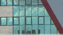 Reflejos