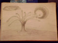 Boceto 2010-03