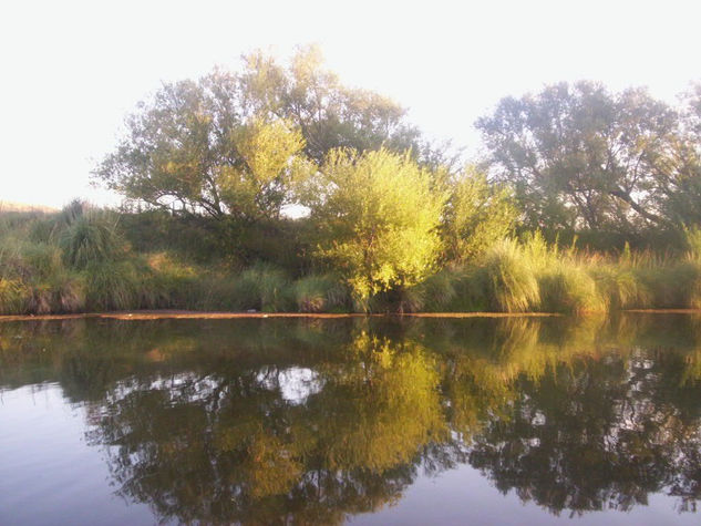 Reflejos Nature Color (Digital)