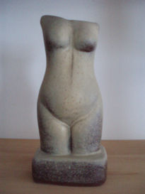 Torso 2