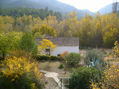 COLORES DE OTOÑO