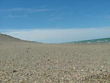 Dunas