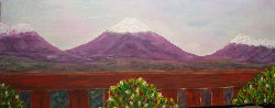 AREQUIPA