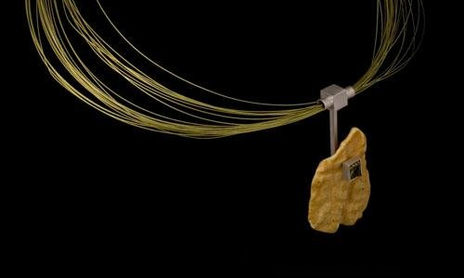 JOYAS CON ELEMENTOS ORGANICOS