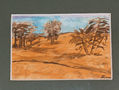 PAISAJE DESERTICO