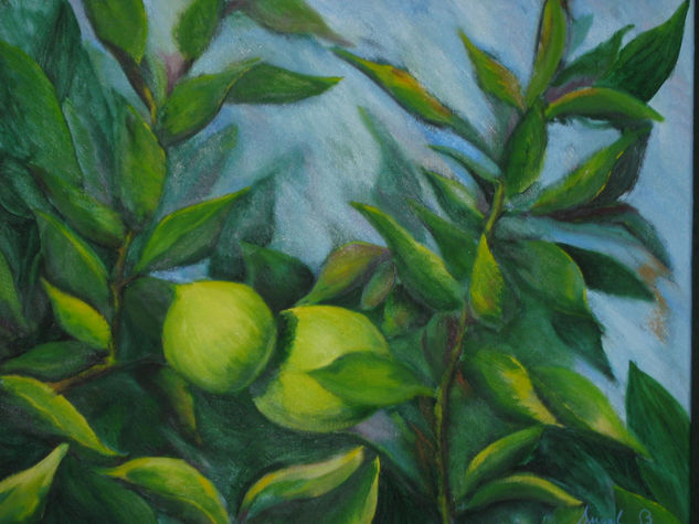 LIMONES EN RAMA Oil Canvas