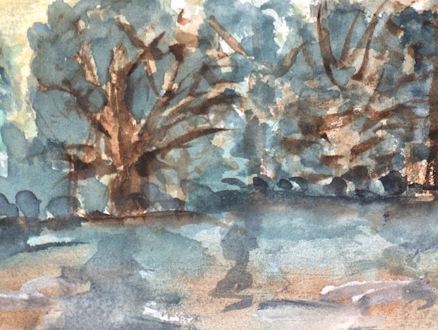 PAISAJE PANTANOSO Watercolour Paper Landscaping