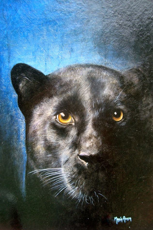 pantera negra
