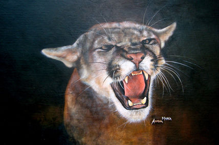 Puma