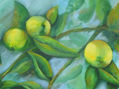 LIMONES II