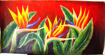 Flor de platanillo2