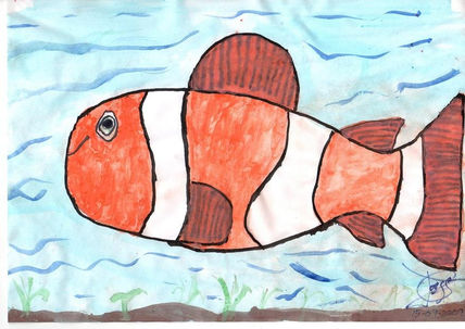 Nemo