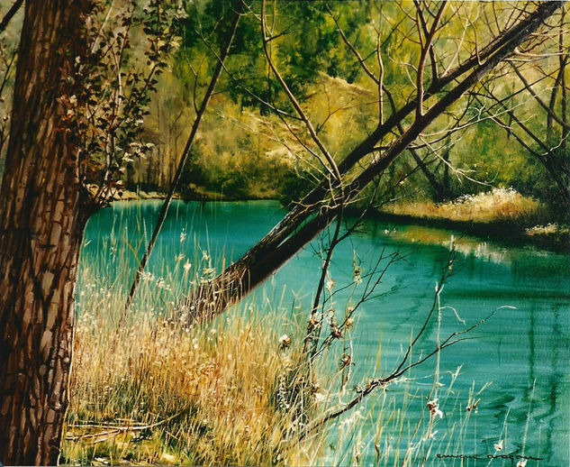 Río Júcar Oil Canvas Landscaping