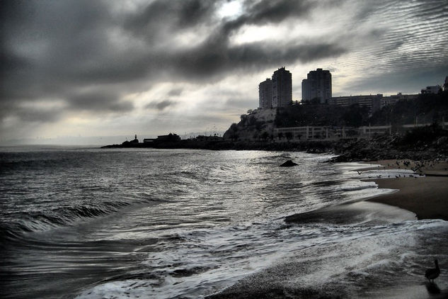 Caleta Portales 