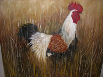 Gallo