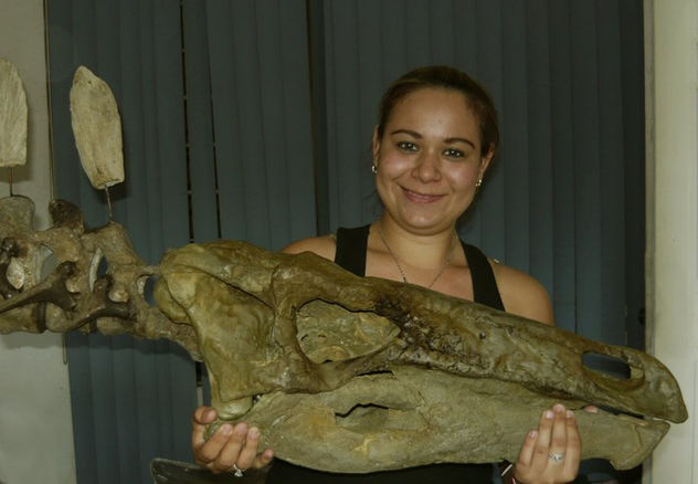 dinosaurio