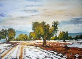 Olivos Oil Canvas Landscaping