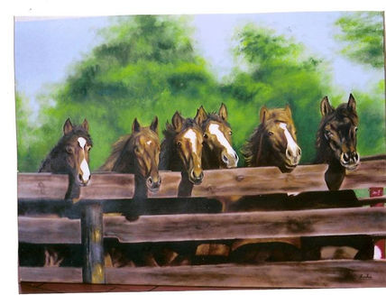 Caballos en finca