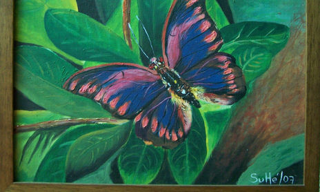 Mariposas