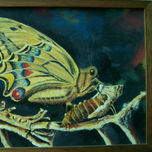 Mariposas thumbnail 2