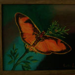 Mariposas thumbnail 1