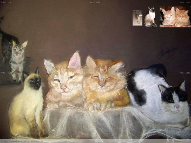 familia de gatitos Pastel Canvas Animals