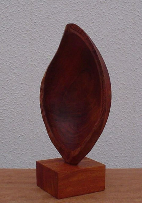 Cáscara de Albaricoque