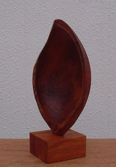 Cáscara de Albaricoque Madera Figurativa