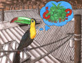 ¿...Y Donde esta la Selva?