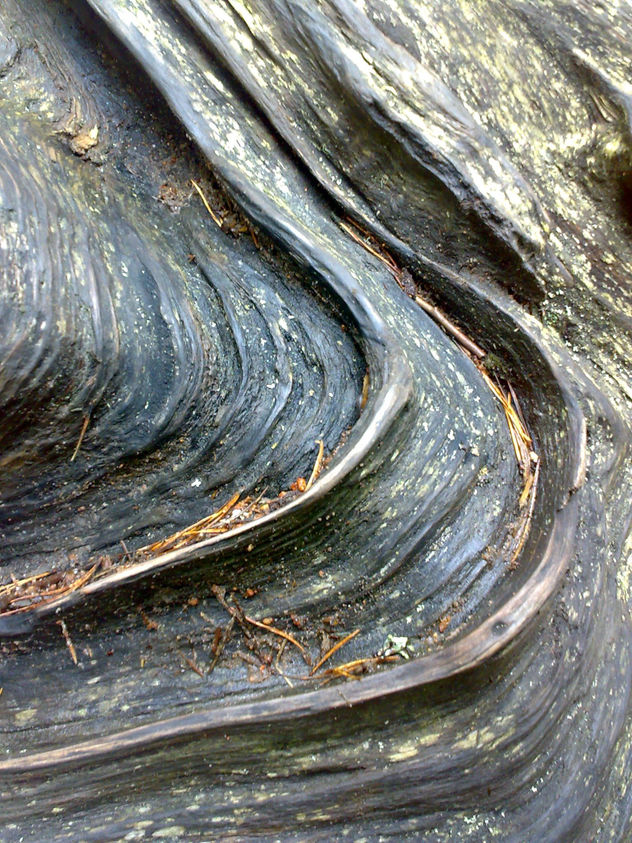 texturas3