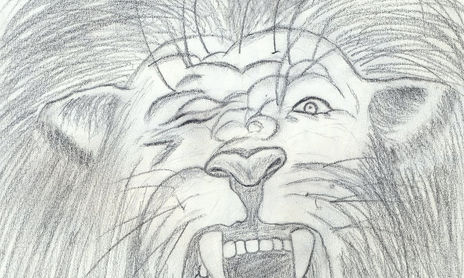 DIBUJOS DE APRENDIS