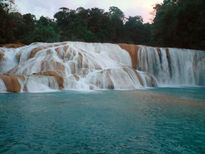 Cascadas de Agua Azul