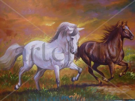 Caballos salbaje