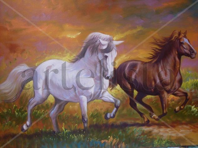 caballos salbaje