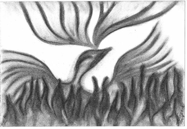 Fenix II Charcoal