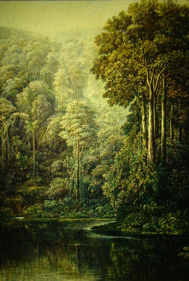 laguna sarapiqui