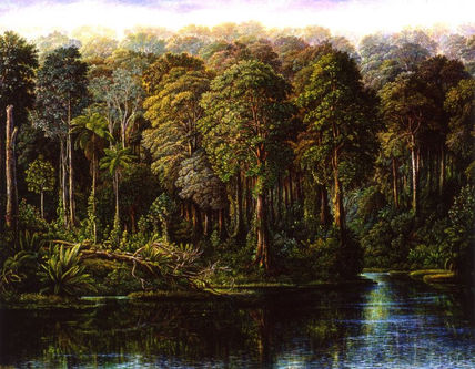 Selva corcobado