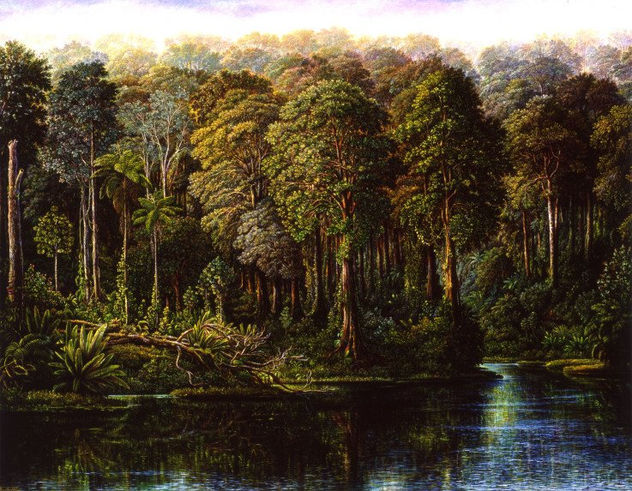 selva corcobado