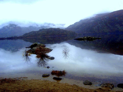Lago