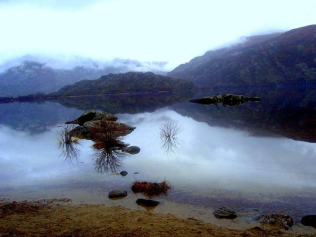 LAGO