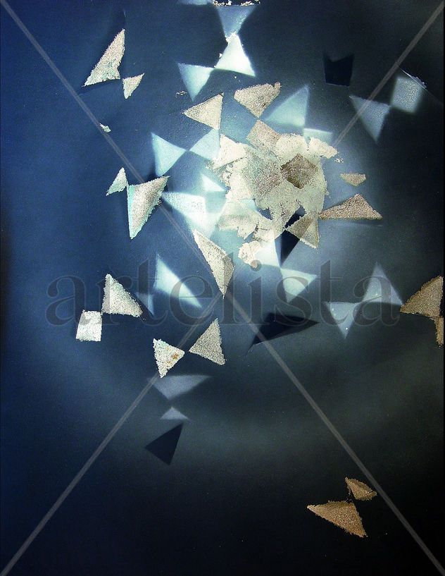 NIGHT BUTTERFLIGHR