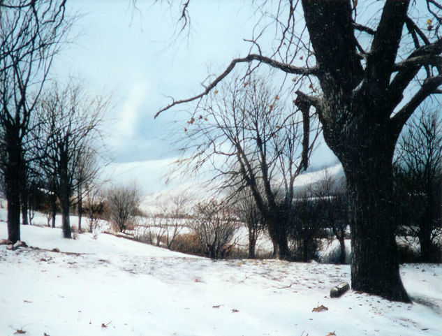 Las cuatro estaciones (Invierno) Óleo Lienzo Paisaje